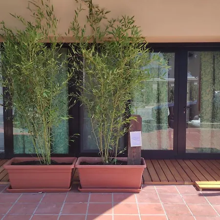 Lorenzo Sea Loft * Riccione